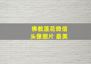 佛教莲花微信头像图片 最美